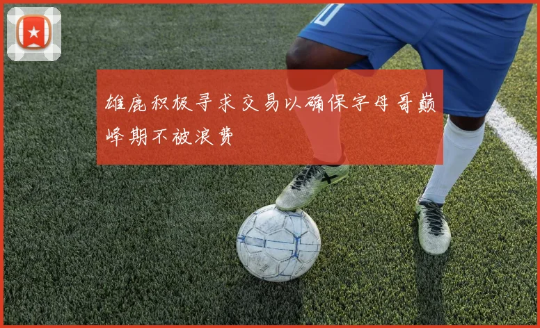 雄鹿积极寻求交易以确保字母哥巅峰期不被浪费