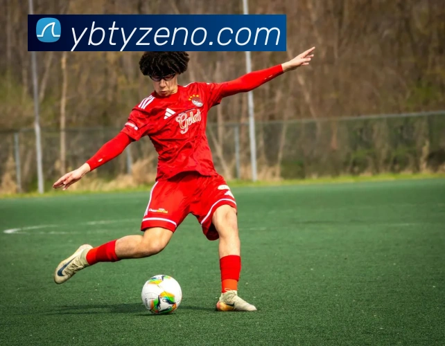 云博体育服务体系